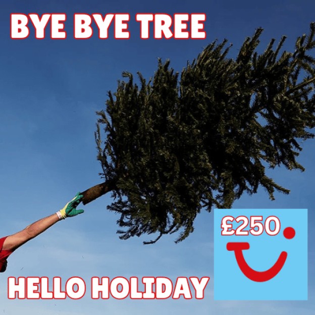 BYE BYE TREE - HELLO HOLIDAY - £250 TUI VOUCHER