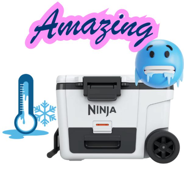 WIN A NINJA COOL BOX