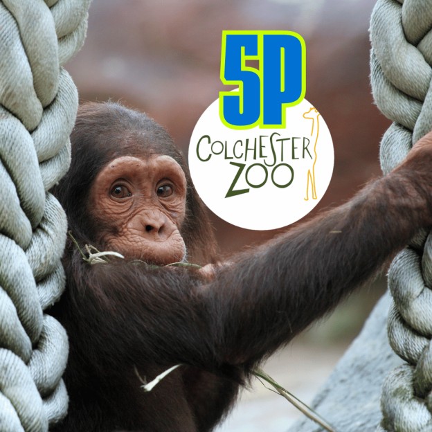 WIN A DAY OUT AT COLCHESTER ZOO
